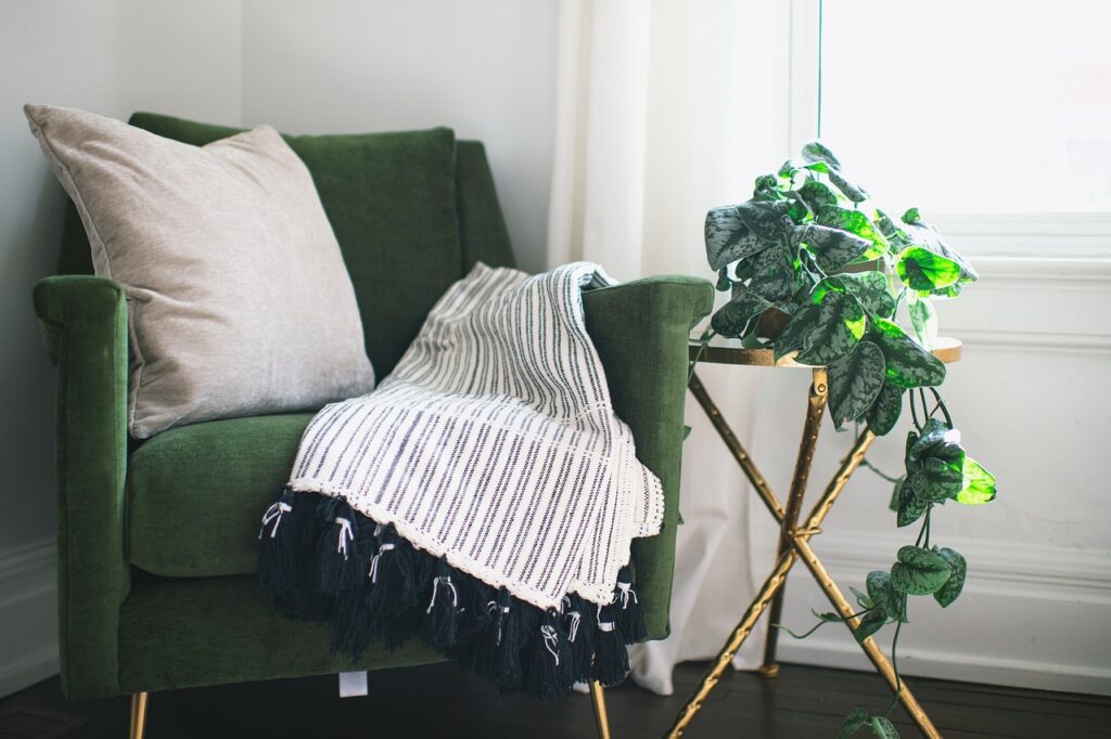 chair, home, room, plant, ivy, interior, nature, table, blanket, pillow, curtain, clean, drapes, silver satin ivy, still life