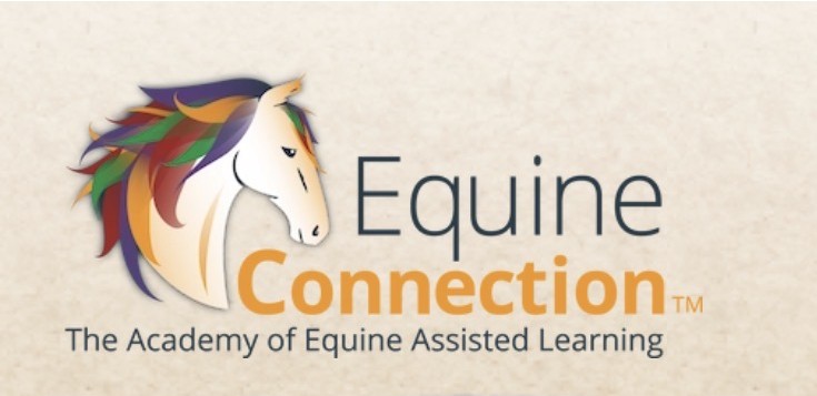 equine connection logo